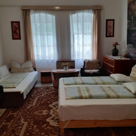 Marika Vendeghaz Apartment Abádszalók Bagian luar foto