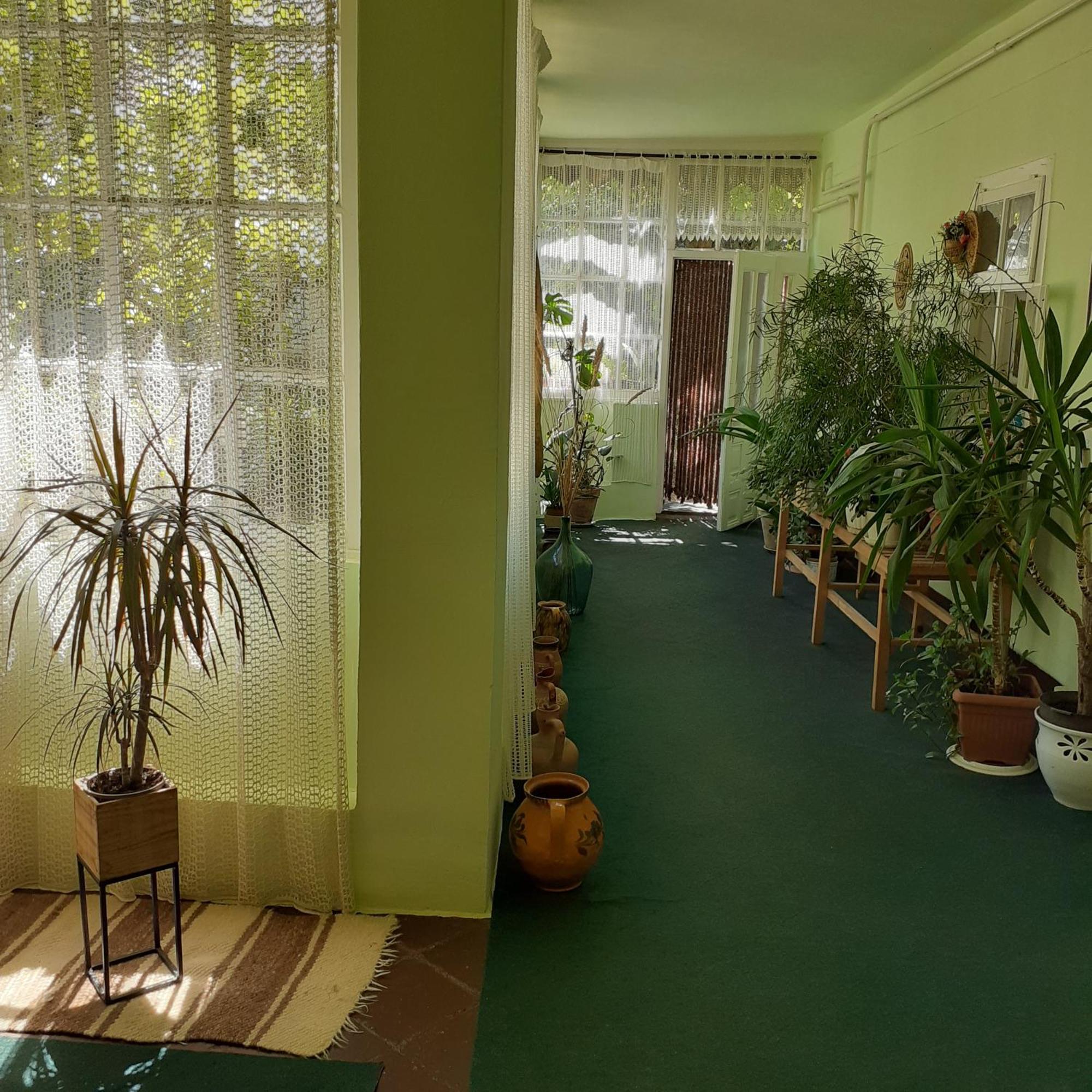 Marika Vendeghaz Apartment Abádszalók Bagian luar foto